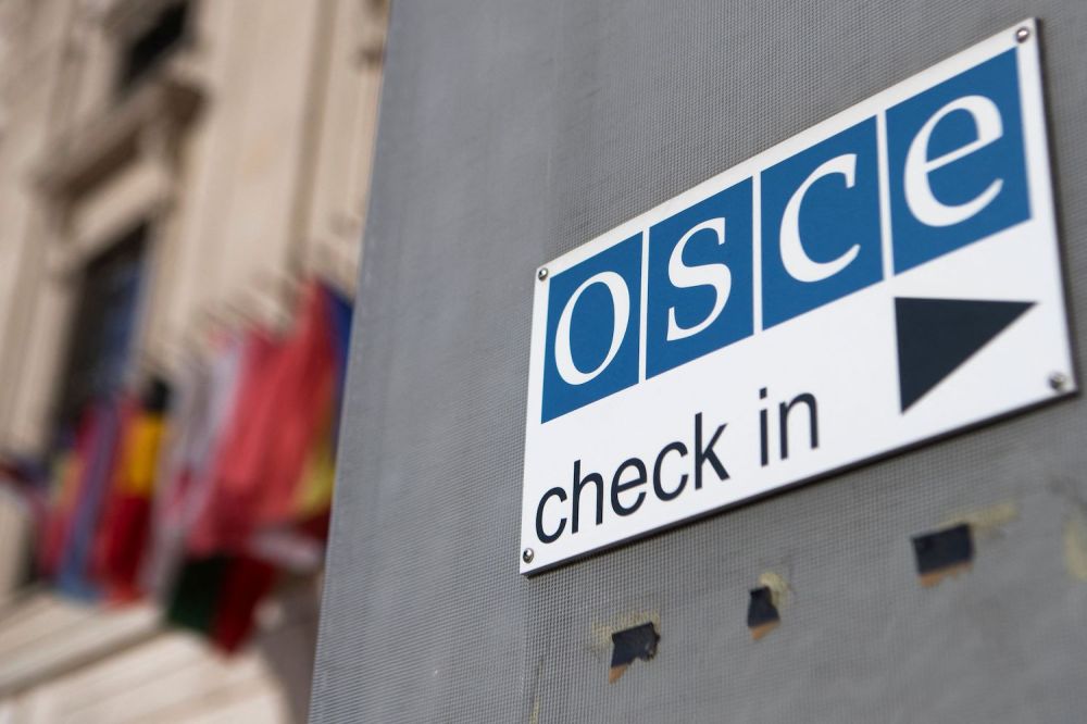 Austria&rsquo;s About to Give Russia a Soapbox at the OSCE